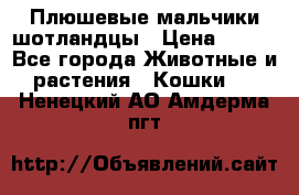 Плюшевые мальчики шотландцы › Цена ­ 500 - Все города Животные и растения » Кошки   . Ненецкий АО,Амдерма пгт